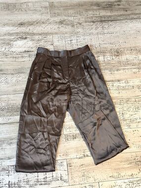 Babaton (Aritzia) Pleated Satin Pant – Size 2